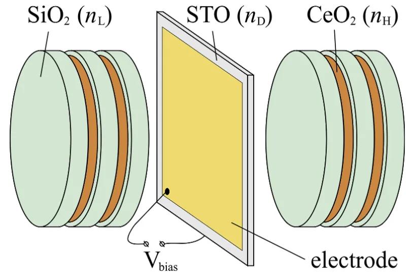 Nonlinear and tunable properties of ferroelectric perovskites