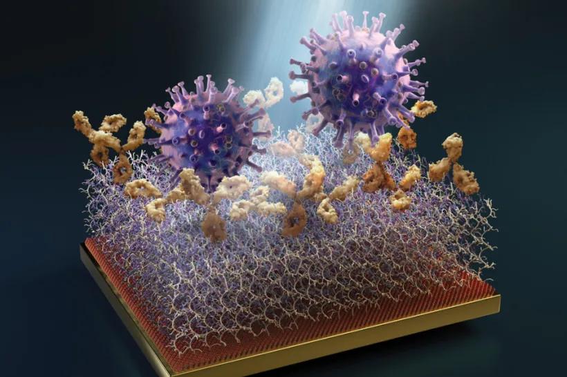 Vizualizace polymeru zachycujícího virus SARS-CoV-2