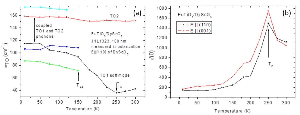 Polární fonony a permitivita tenké vrstvy EuTiO3