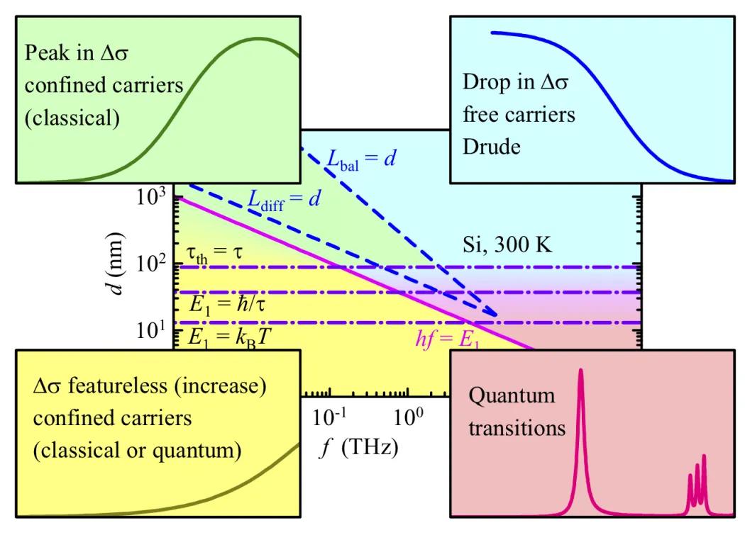 The charge carrier transport and dynamics in nanostructures