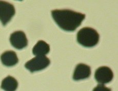 Cropped photo of particles